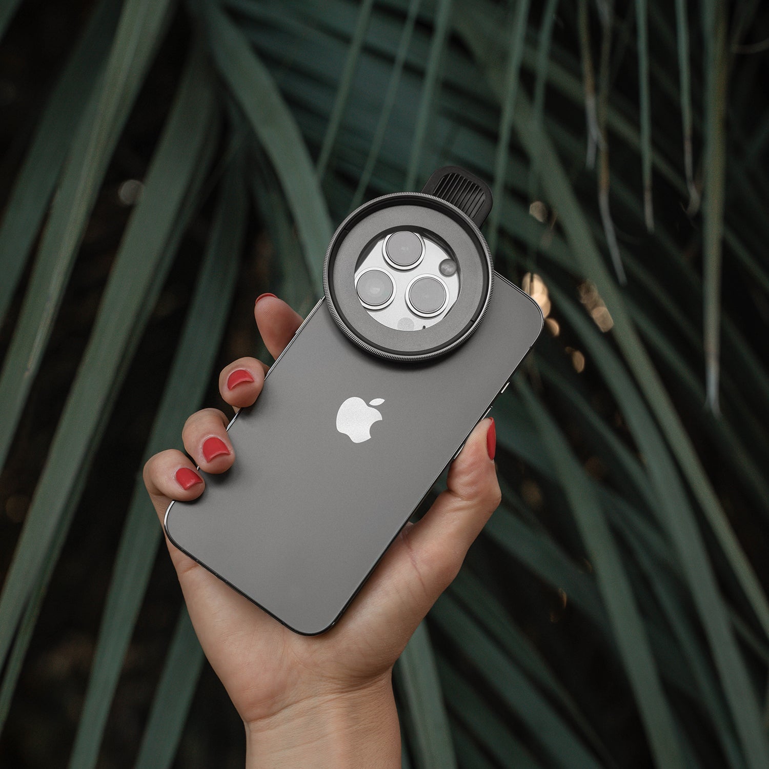 Refurbished Cloud Diffusion Filters - iPhone