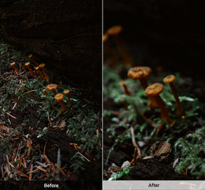 Refurbished Macro Lens Edition - iPhone 17