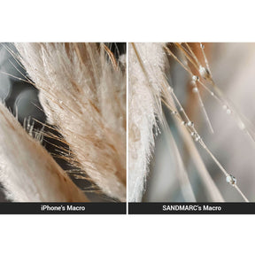 iPhone 13 Pro vs SANDMARC Macro Lens Comparison